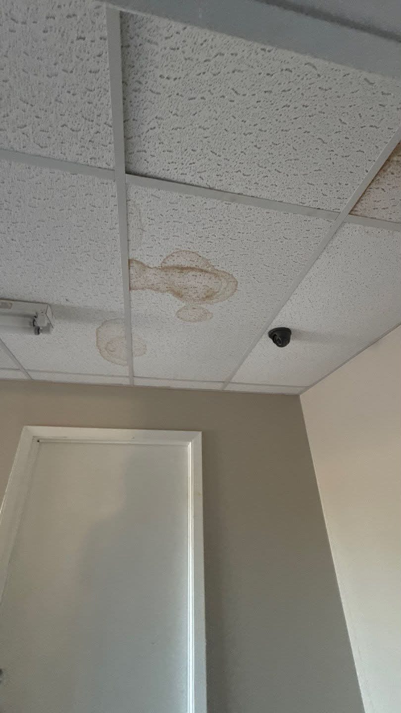 Brown water stains on ceiling tiles from a roof leak in Shreveport
